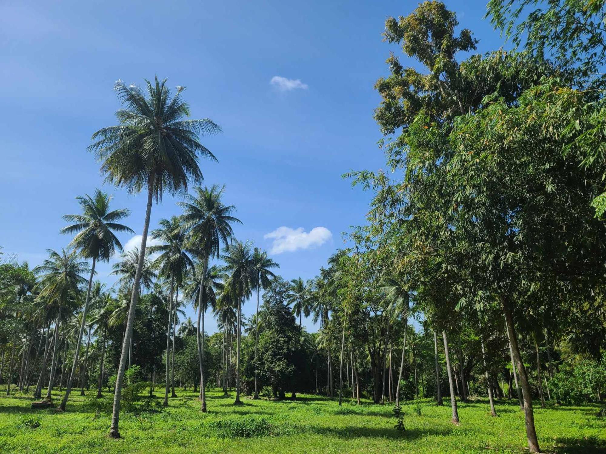 The Secret Garden Homestay Koh Yao Yai Ko Yao Zewnętrze zdjęcie