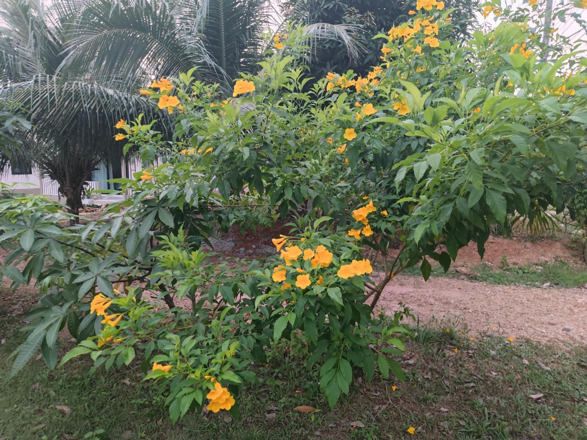 The Secret Garden Homestay Koh Yao Yai Ko Yao Zewnętrze zdjęcie