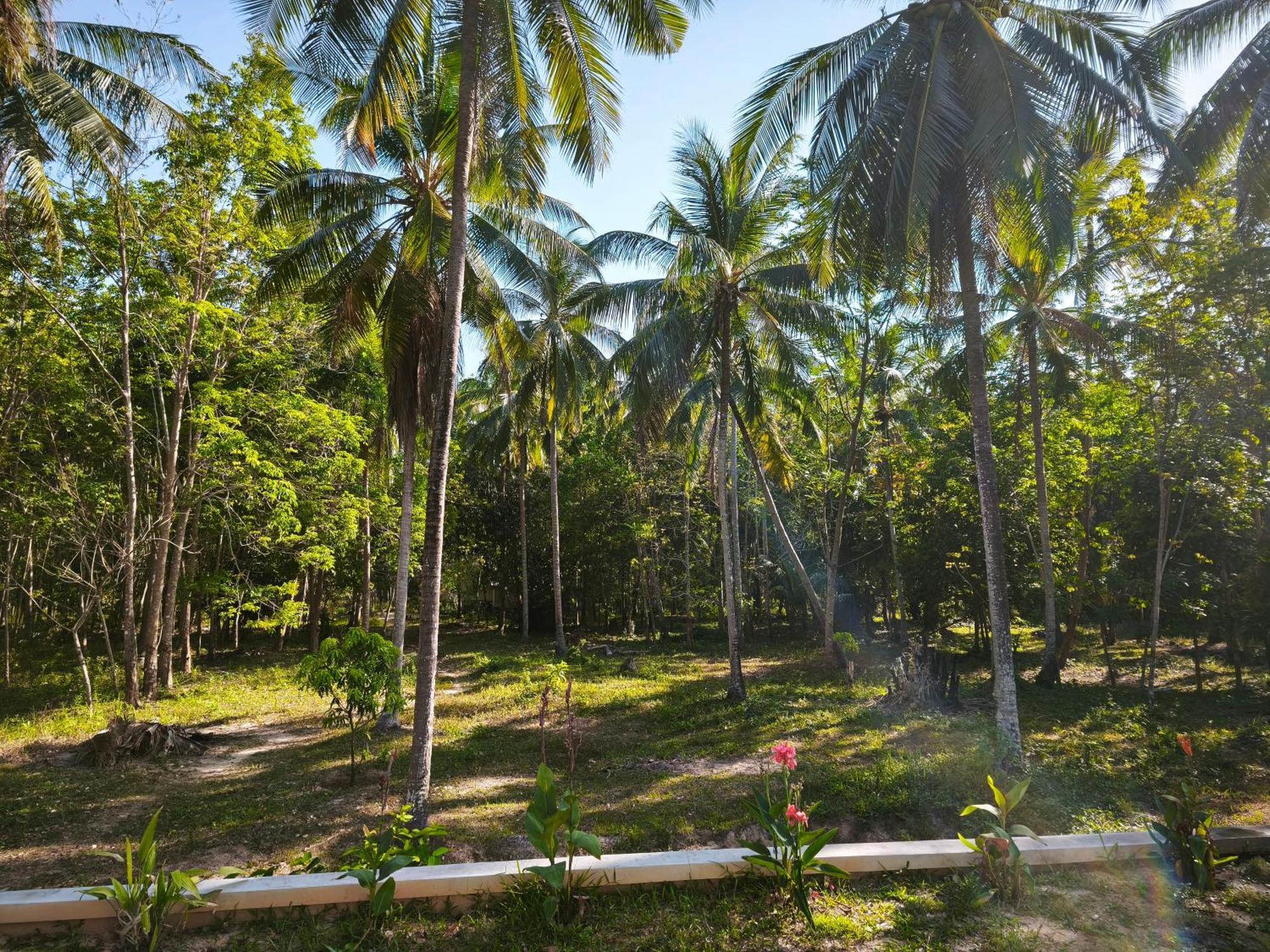 The Secret Garden Homestay Koh Yao Yai Ko Yao Zewnętrze zdjęcie