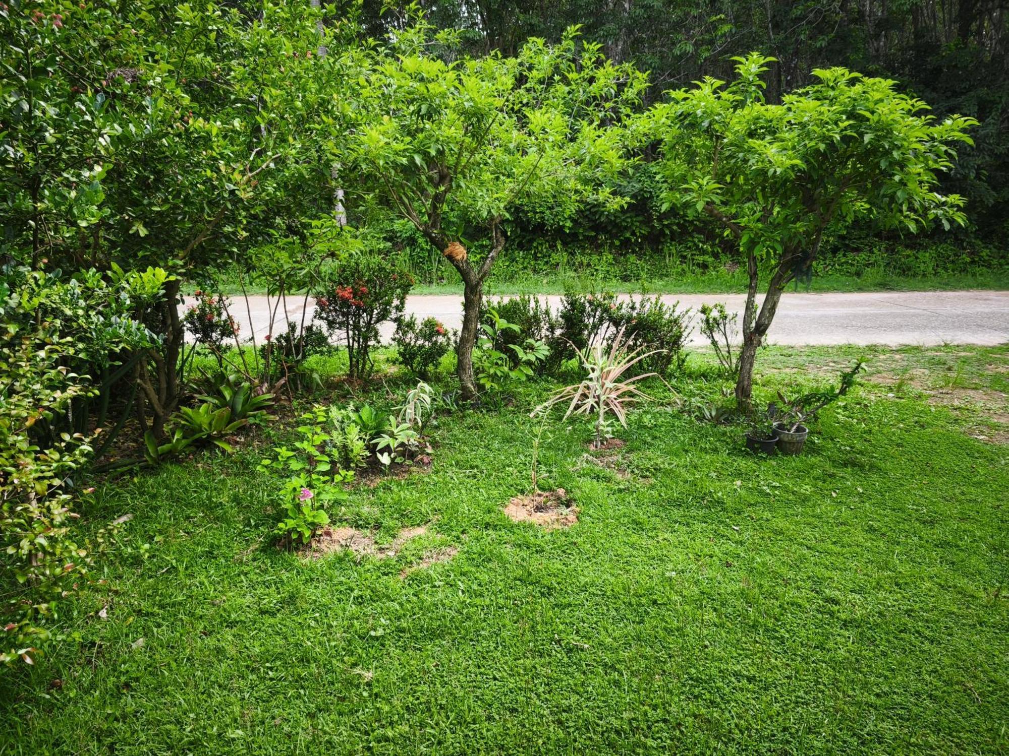 The Secret Garden Homestay Koh Yao Yai Ko Yao Zewnętrze zdjęcie