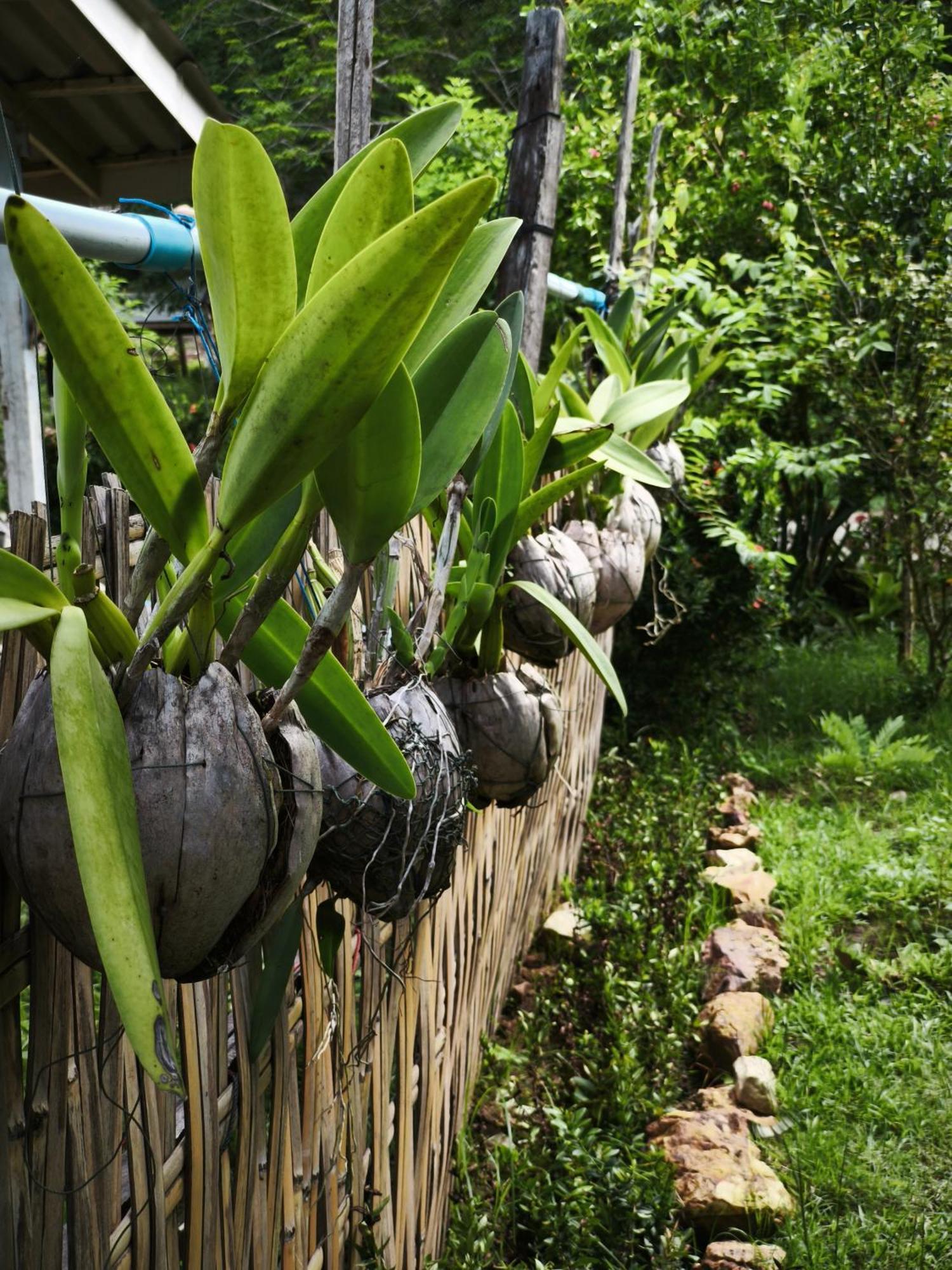 The Secret Garden Homestay Koh Yao Yai Ko Yao Zewnętrze zdjęcie